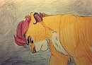 What Can I do Better