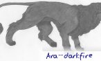 ara_darkfire