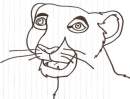 Lion smile