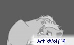 GreyAmy14