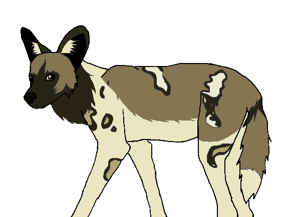 Kiza