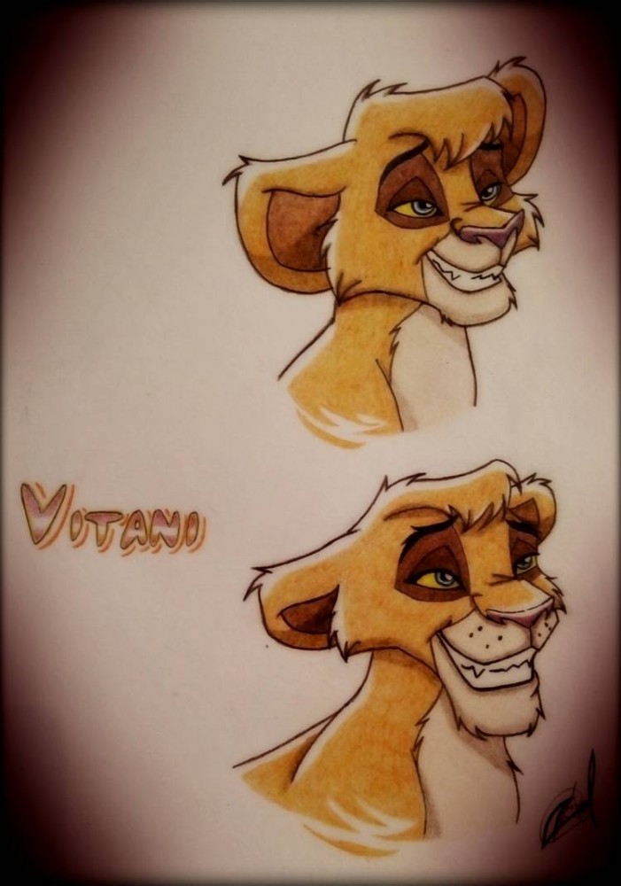 How Vitani adult should be