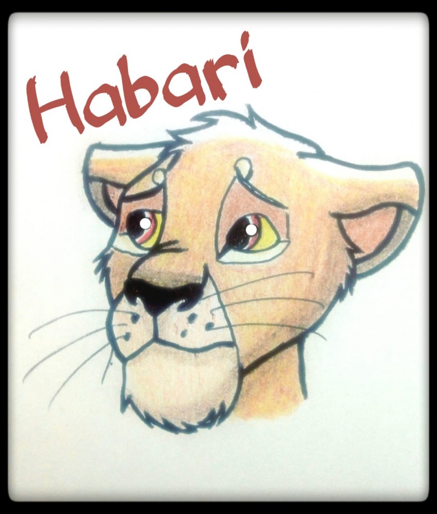 Habari Avvie - Gift