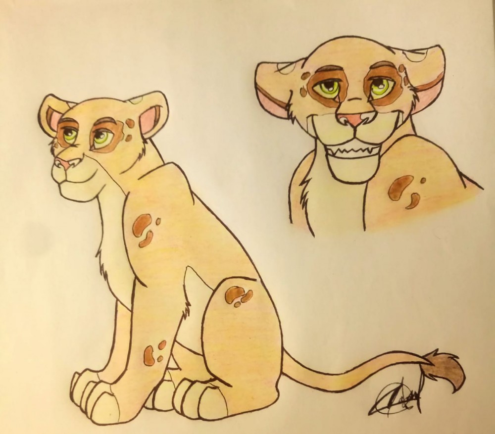 Lioness Design - Trade