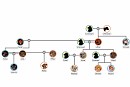 Family Tree (my version)
