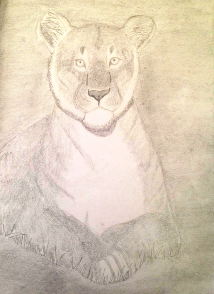 Traditional practice