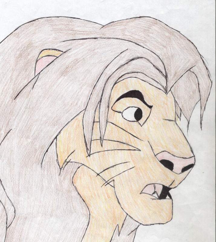 simba
