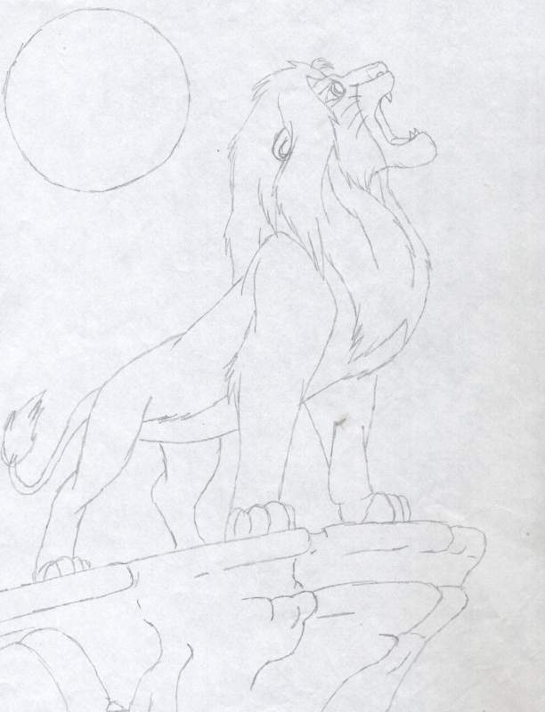 simba sur le rocher du lion
