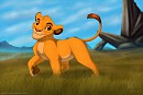 Cub Simba 2011