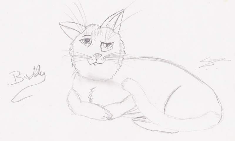 buddy for my buddy howldine^^