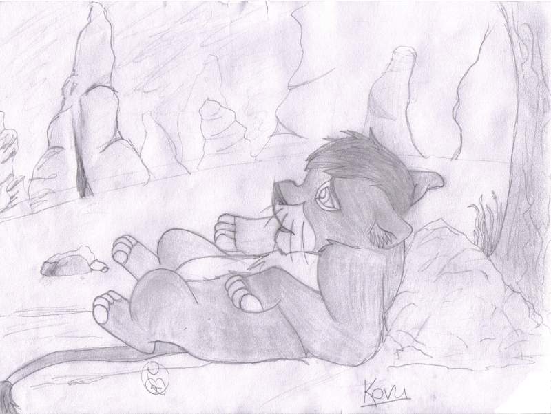 Kovu Again!!!