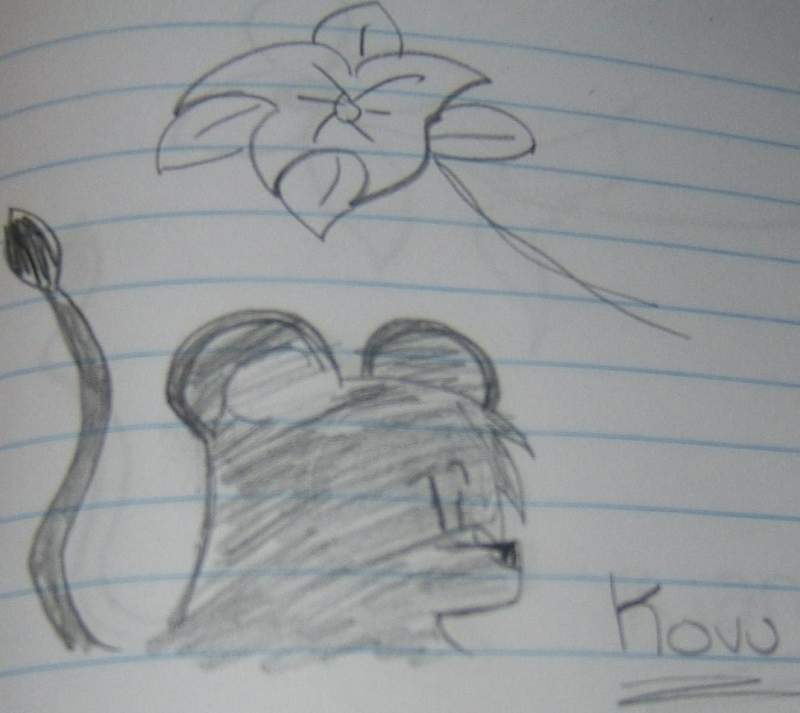kovu