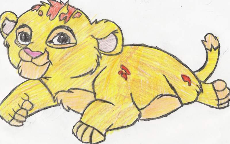 baby simba