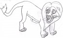 petit lion