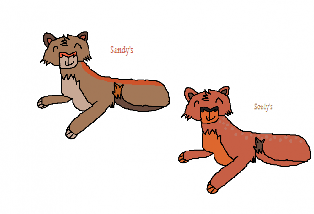 Gifts for sandy and souly!