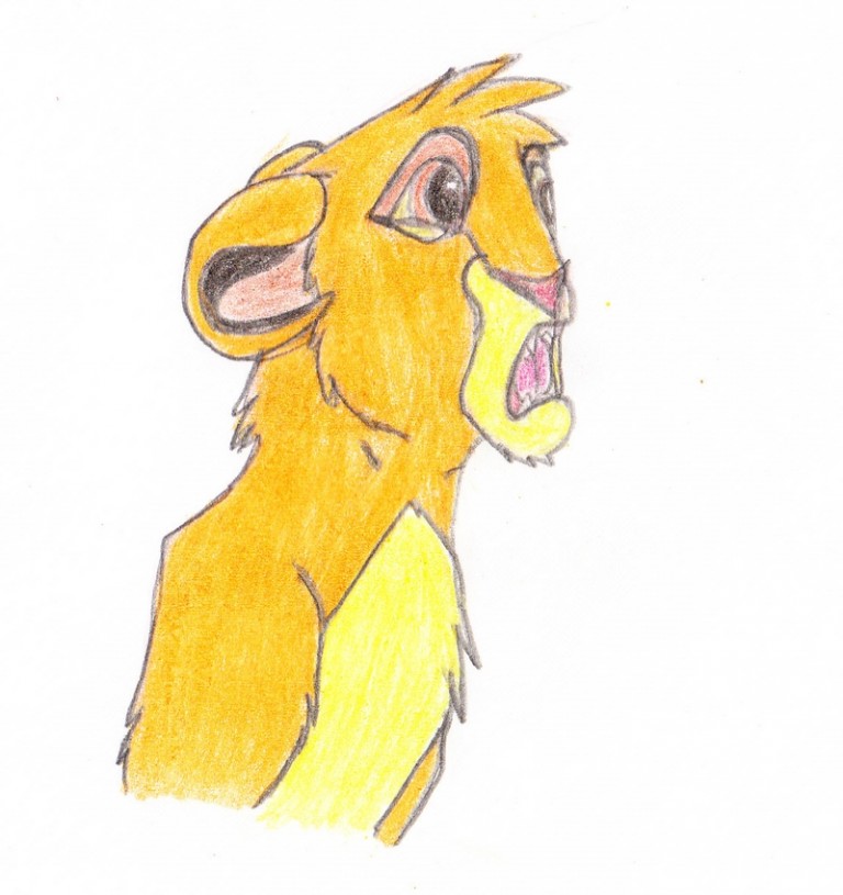 Little Simba