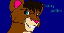 harry cub