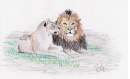 Lions