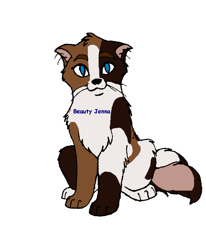 KittenWhoHas14Tails