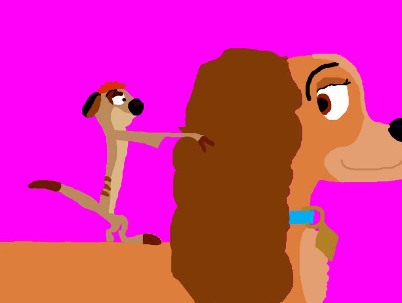 Lady et Timon (pour Dave the wolf of 95)
