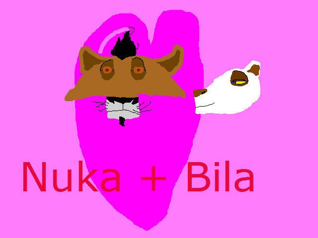 Nuka et Bila