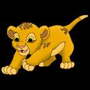 Simba bébé