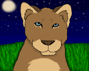 Imara