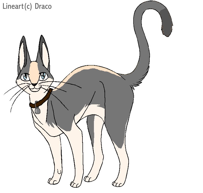 Merrow as a cat