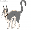 Merrow as a cat