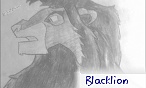Blacklion