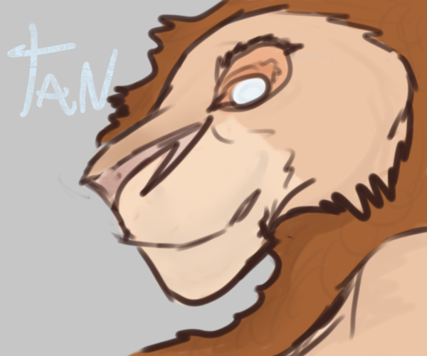 Tan, adult