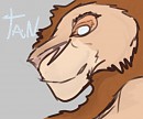 Tan, adult