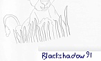 blackshadow91