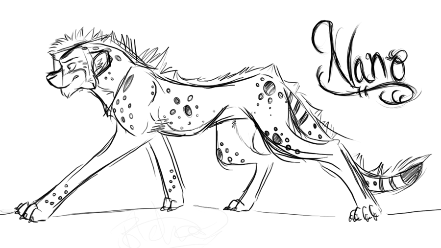 Nano Sketch