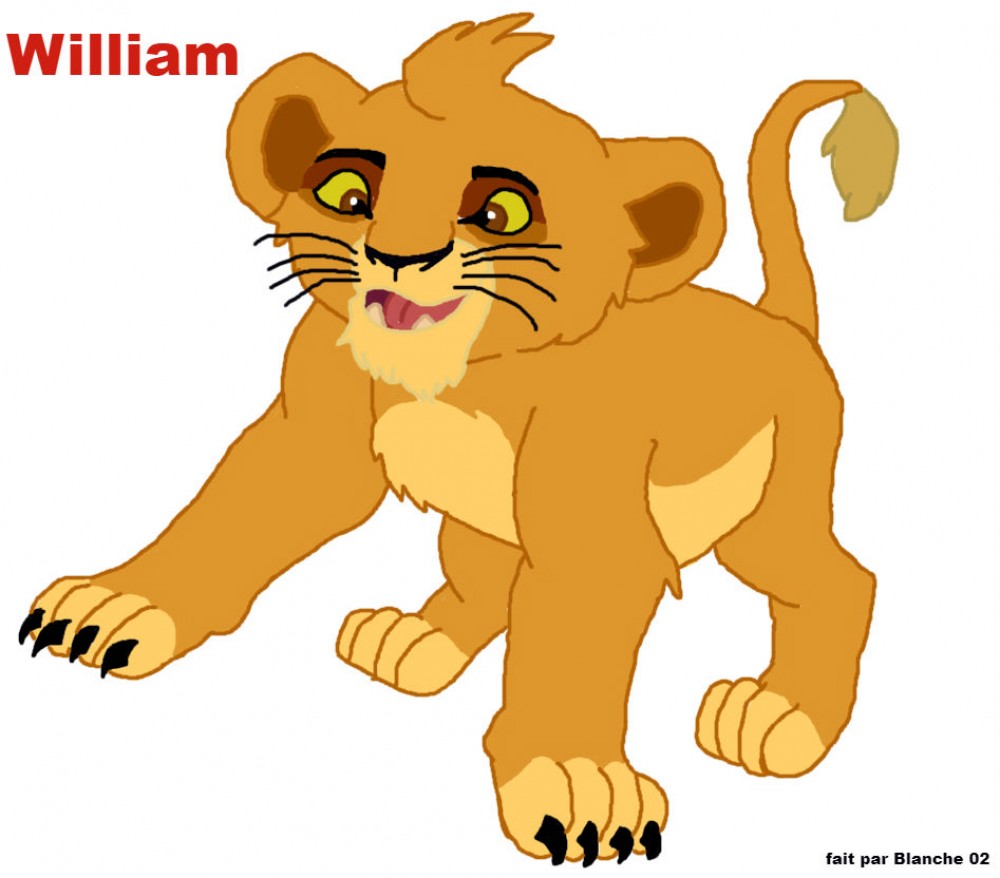 Petit William