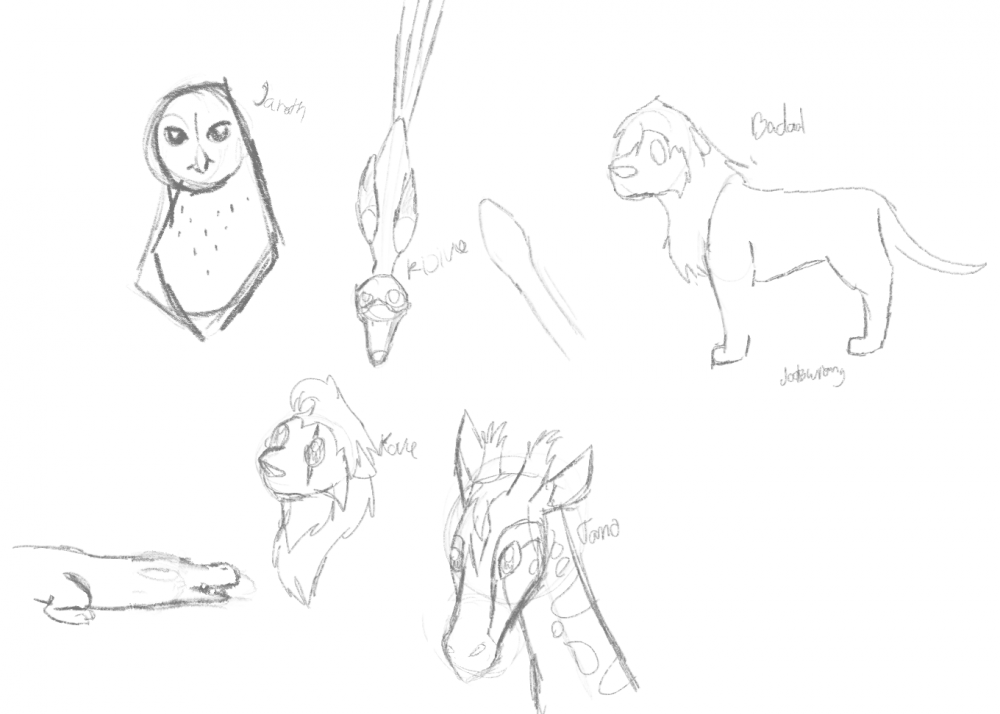 more doodles
