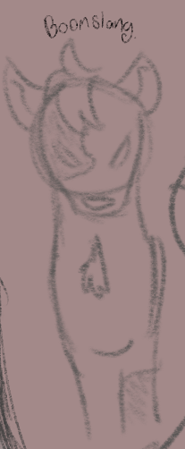 young boomslang doodle