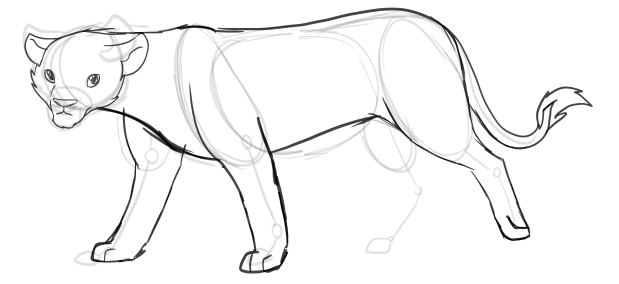 Full body image wip