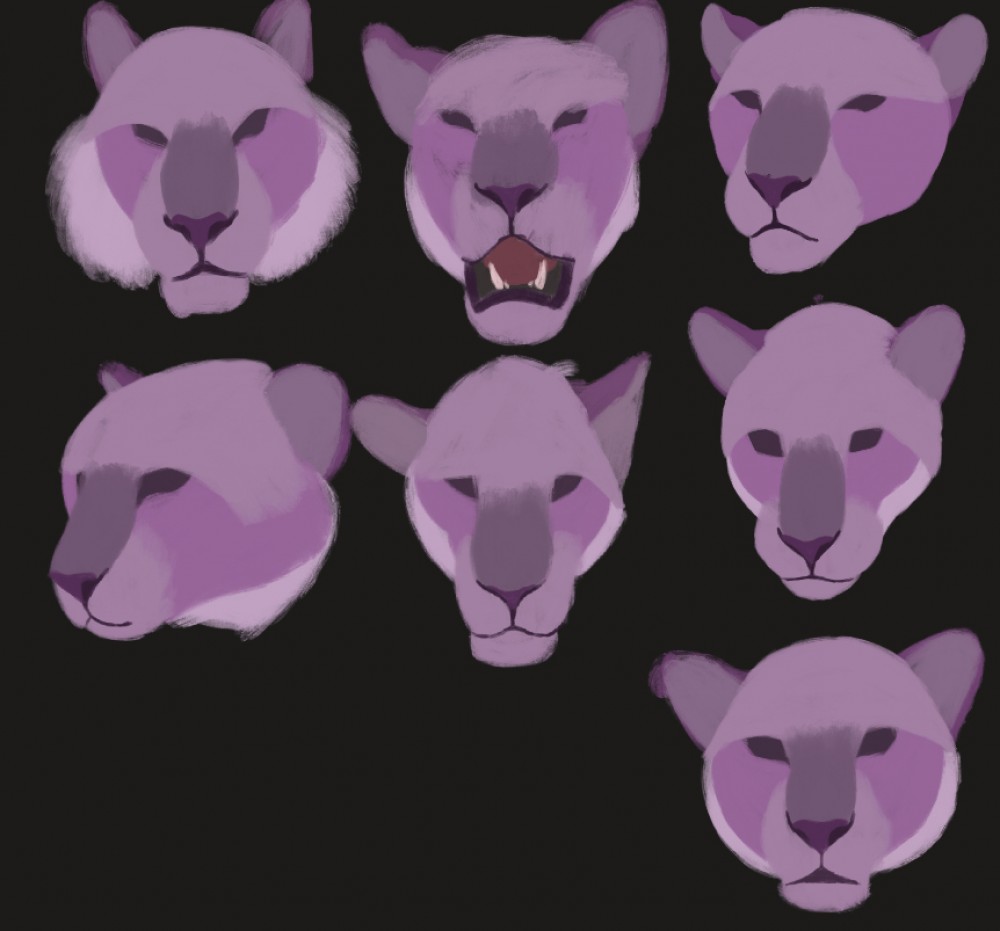 Panthera head study
