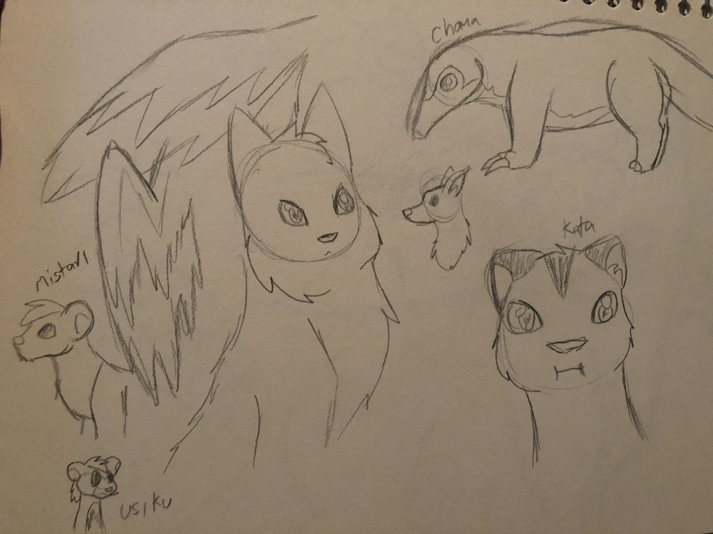 doodles