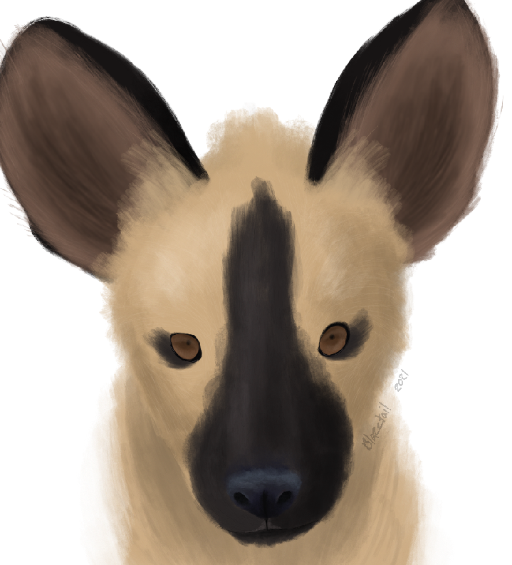 Pup jeraha 