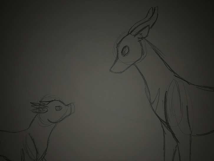 two antelope