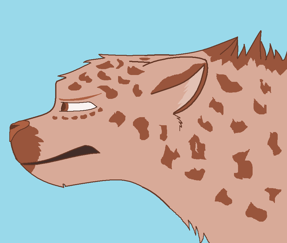 New cheetah