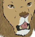 lion sketch