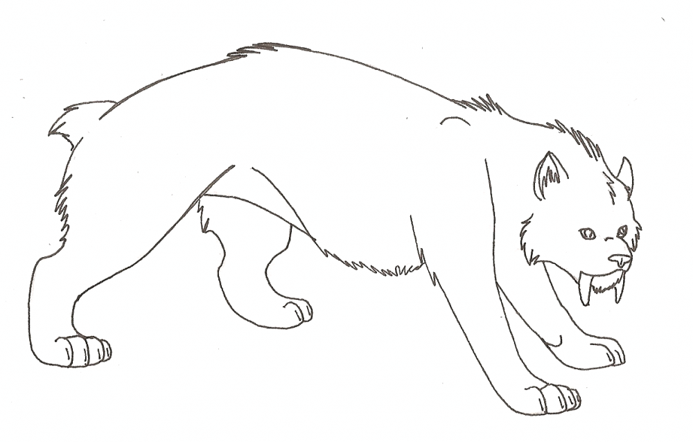 Just a Saber Cat
