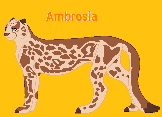new cheetah