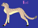 first designing of kumi