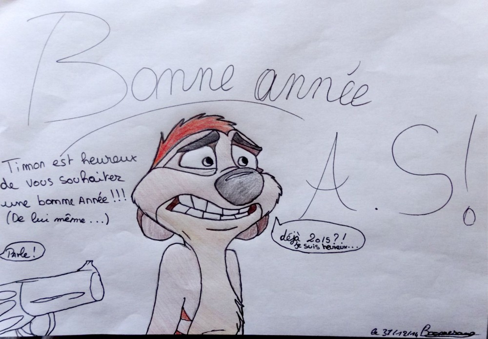 Bonne année 2015!