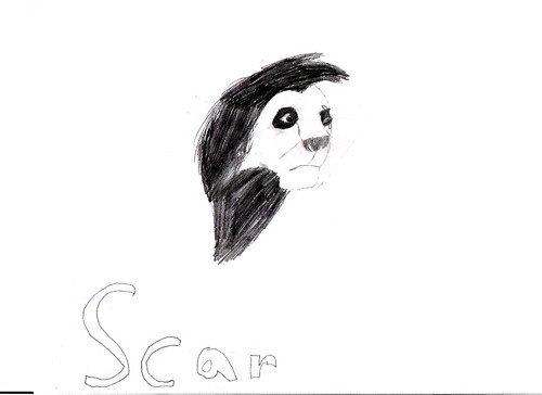 Scar