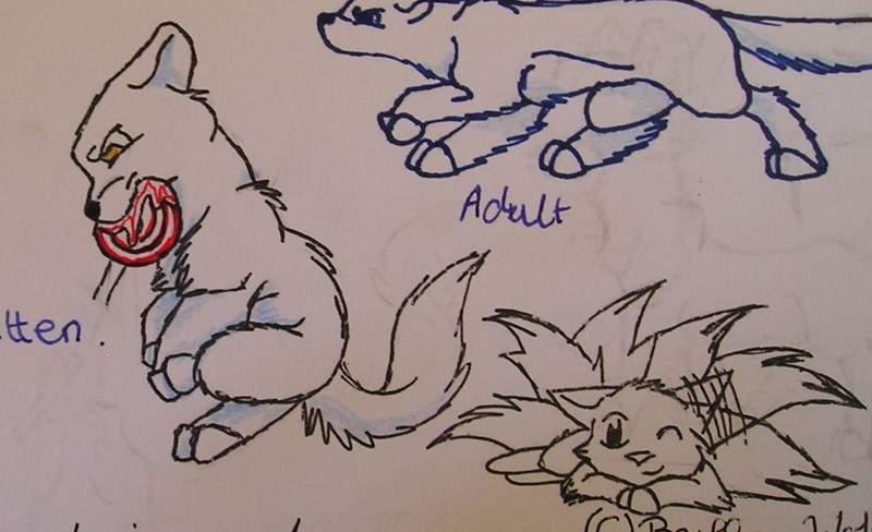 buffy cat form